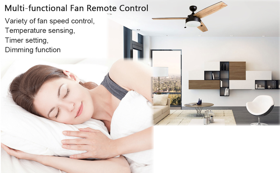 FAN-53T Universal Ceiling Fan Remote Control and Receiver Kit ,Black